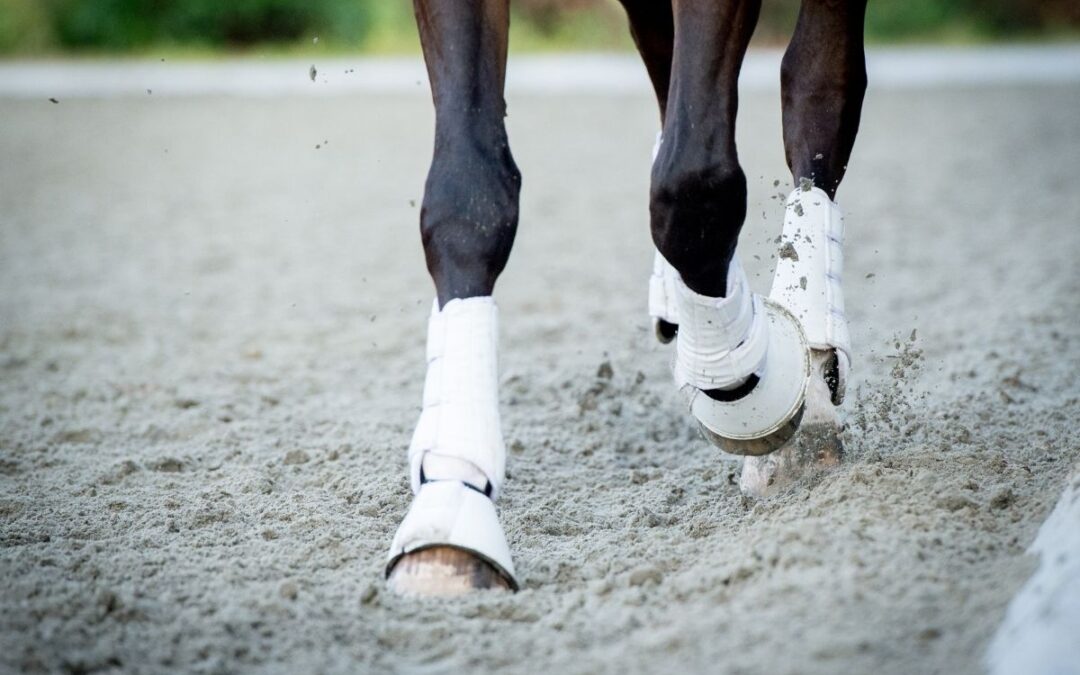 Should riders describe themselves as athletes?