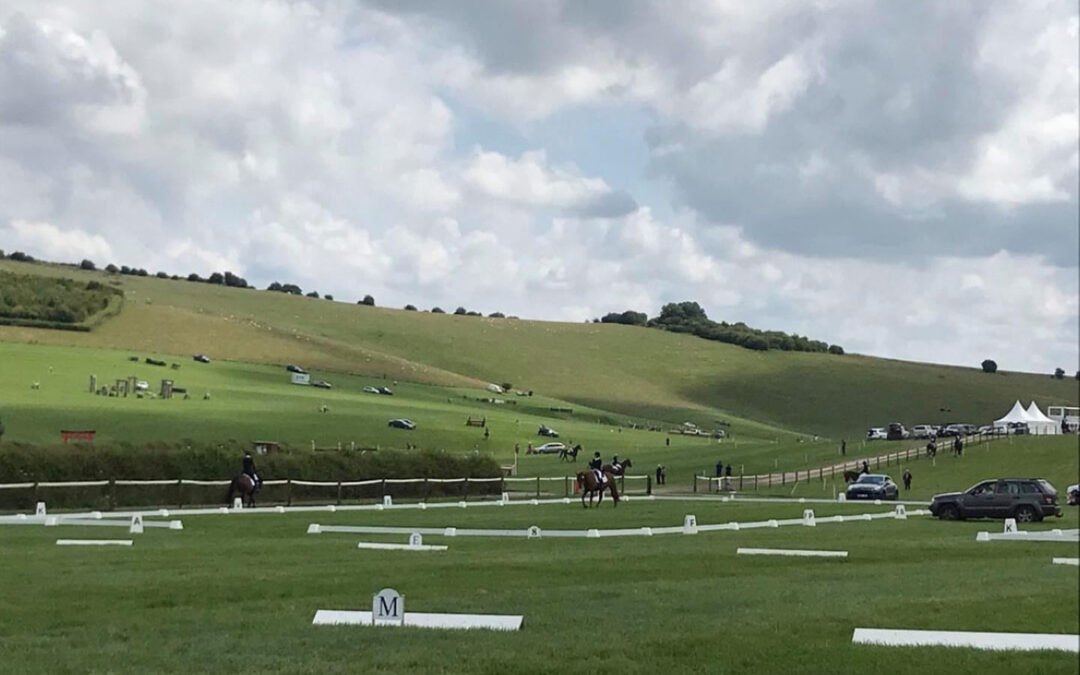 Are we doing enough to support our officials