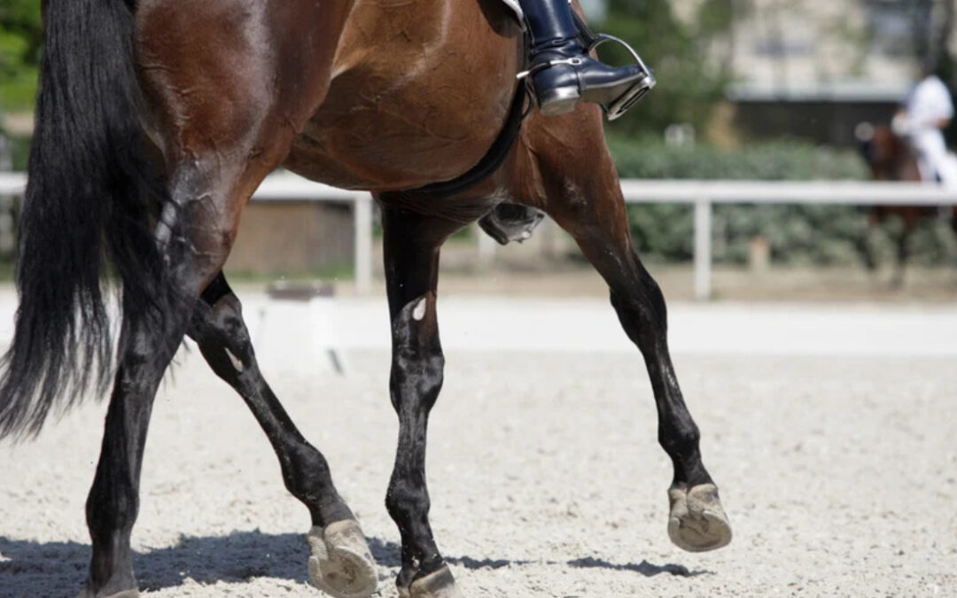 Explicit vs Implicit Learning