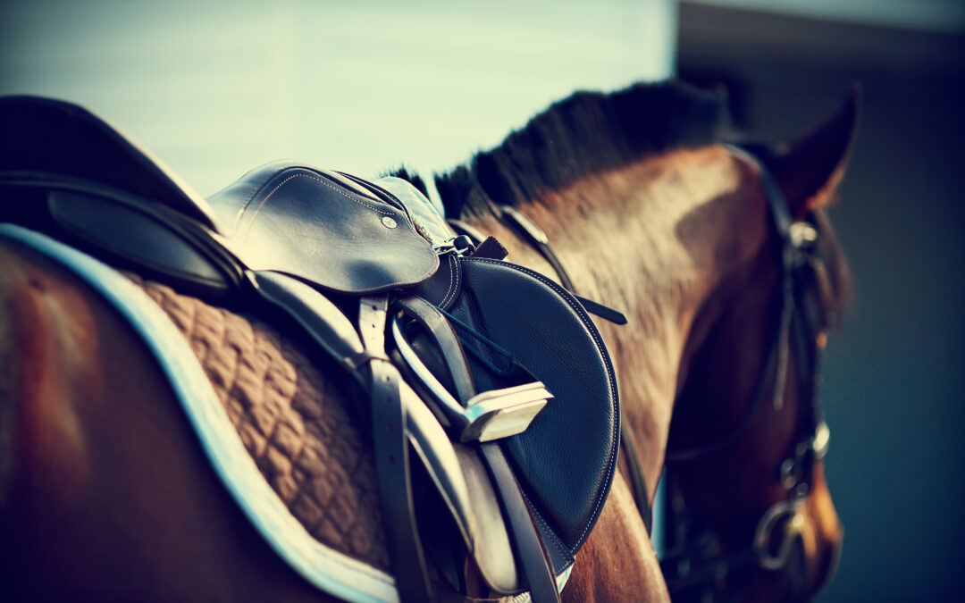 Building Motivation and Resilience – Attribution Theory For Horse Riders