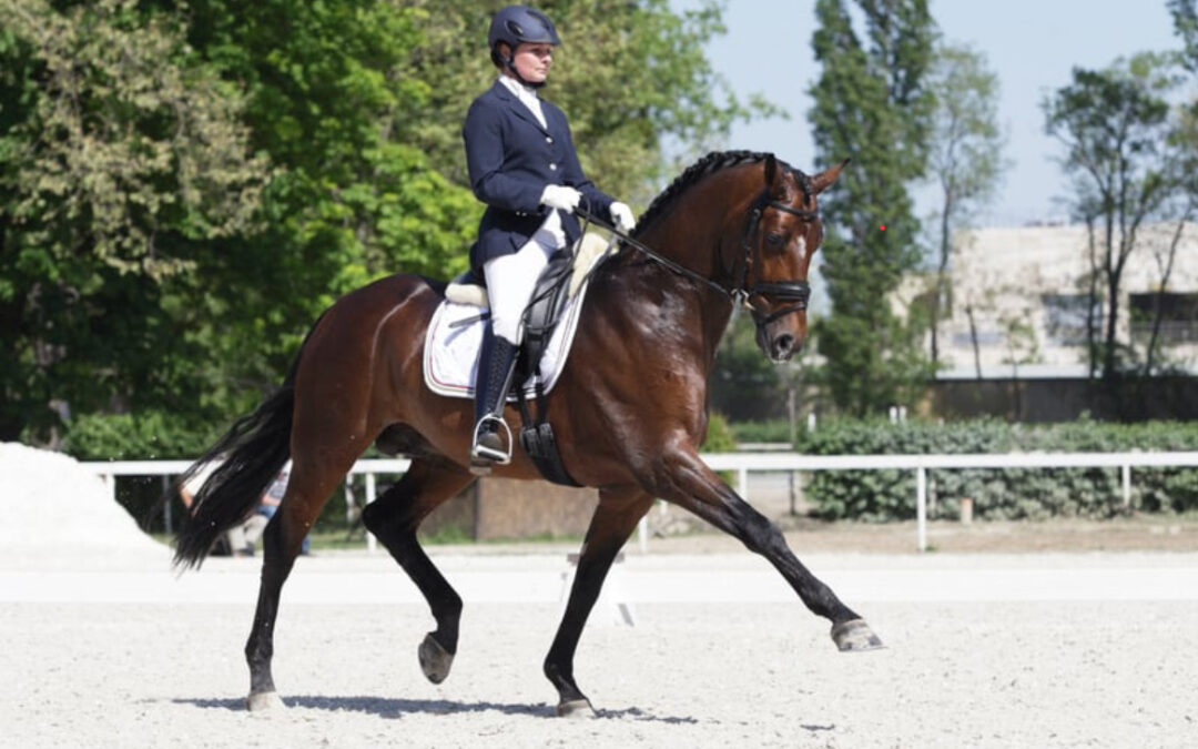 Power poses how our riding posture might impact how we feel as a rider.