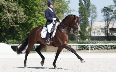 Power poses how our riding posture might impact how we feel as a rider.